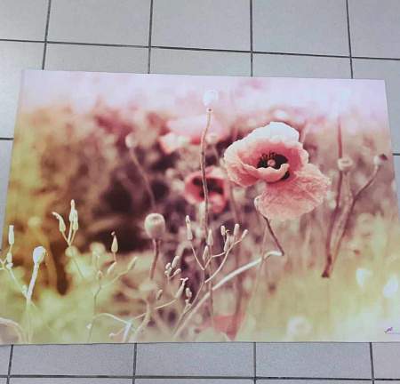 КоврикSPRING PHOTOPRINT100х145 SH P124